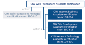 مدرک طراحی وب CIW,طراحی و توسعه‌ی وب,توسعه‌ی وب,طراحی وب