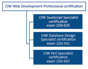 مدرک طراحی وب CIW,طراحی و توسعه‌ی وب,توسعه‌ی وب,طراحی وب